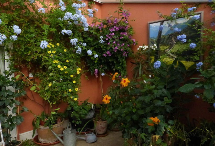 مبيت وإفطار Wooden Cabbage House