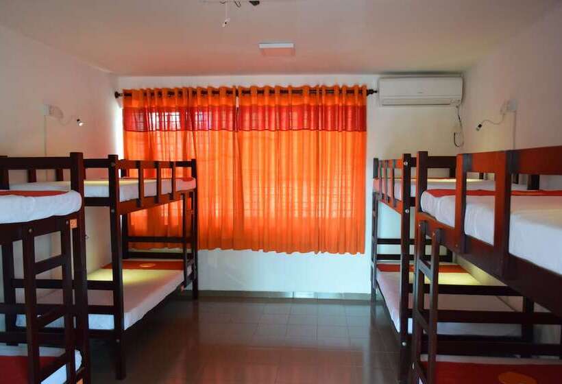 مسافرخانه Thambili Island @ Stubbs