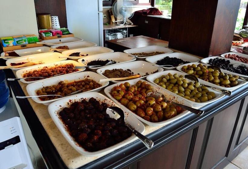 هتل Alp Guesthouse