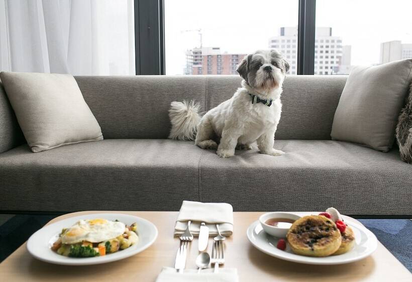 فندق Andaz Ottawa Byward Market, By Hyatt