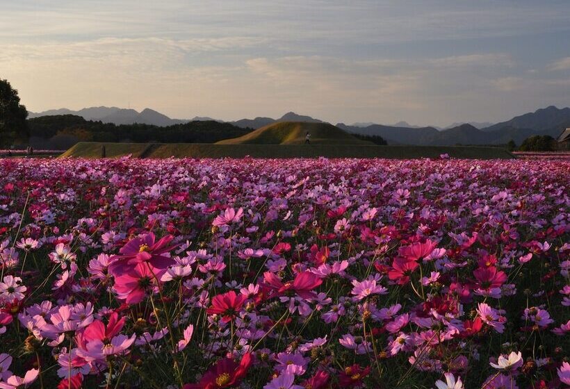 Apa Hotel Miyazaki Nobeoka Ekimae