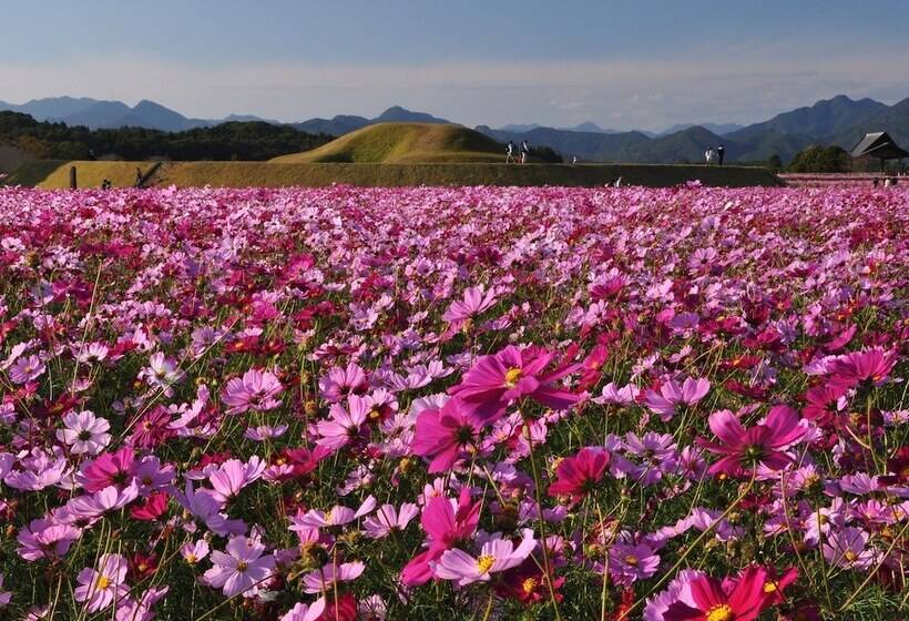 Apa Hotel Miyazaki Nobeoka Ekimae