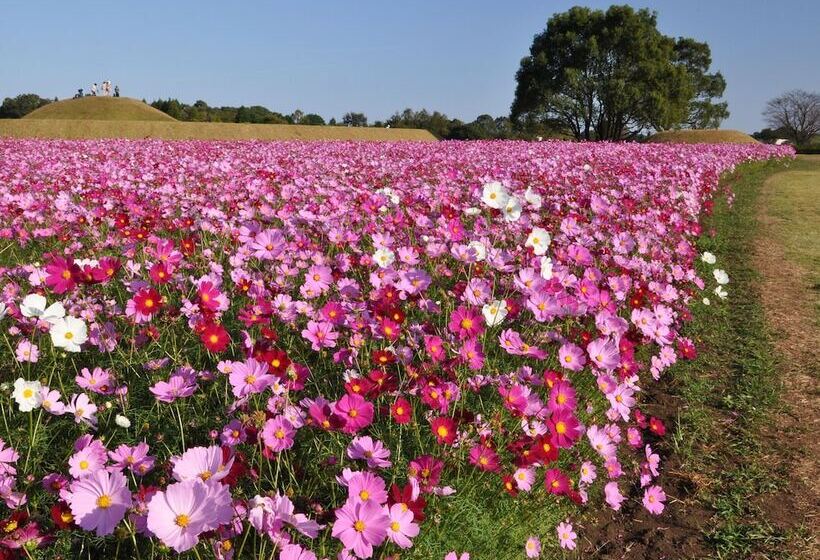 Apa Hotel Miyazaki Nobeoka Ekimae