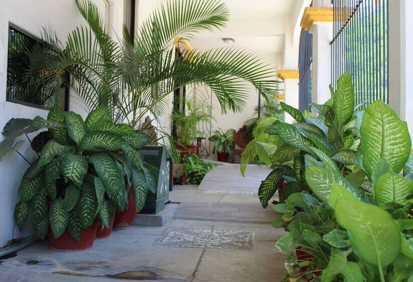 ホテル Arrecife Huatulco Plus