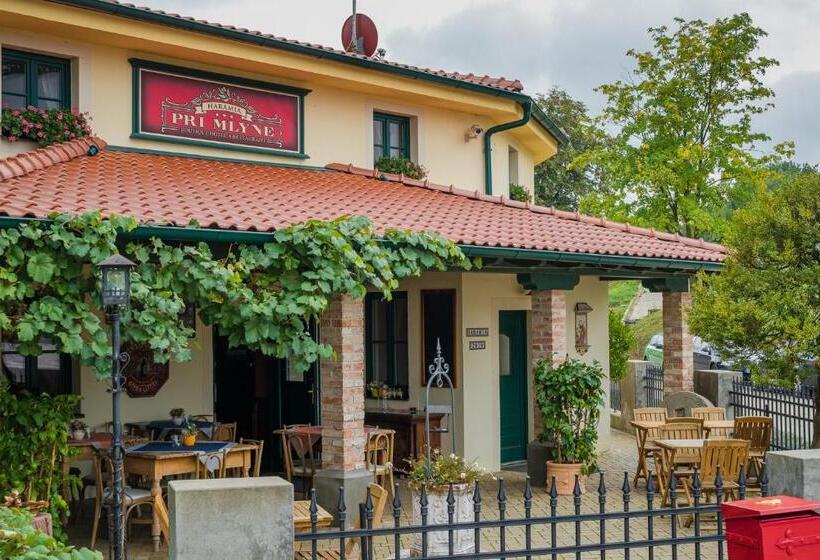 Boutique Hotel Pri Mlyne Lozorno