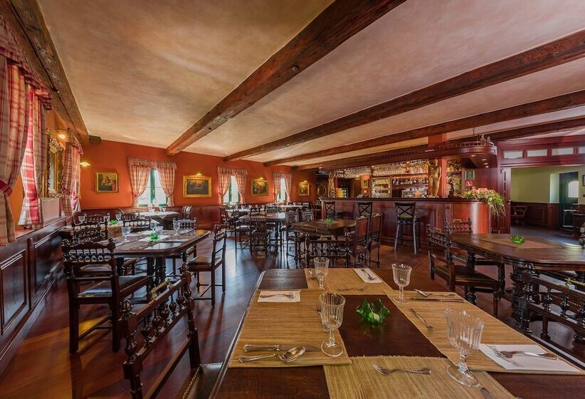 Boutique Hotel Pri Mlyne Lozorno