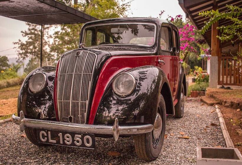 호텔 Ceylon Tea Bungalows