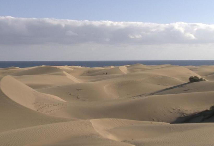 فندق Club Torso Gay Men Only