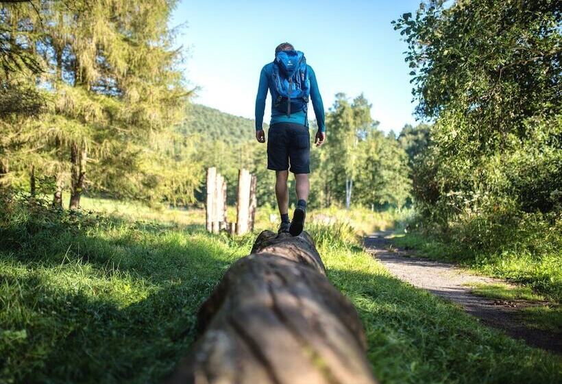 فندق Consulat Des Weins