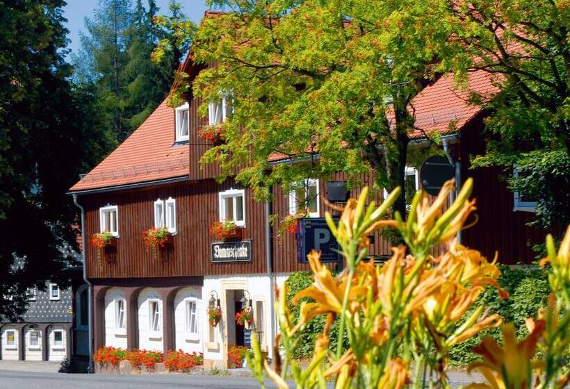 Отель Dammschenke Gasthof &