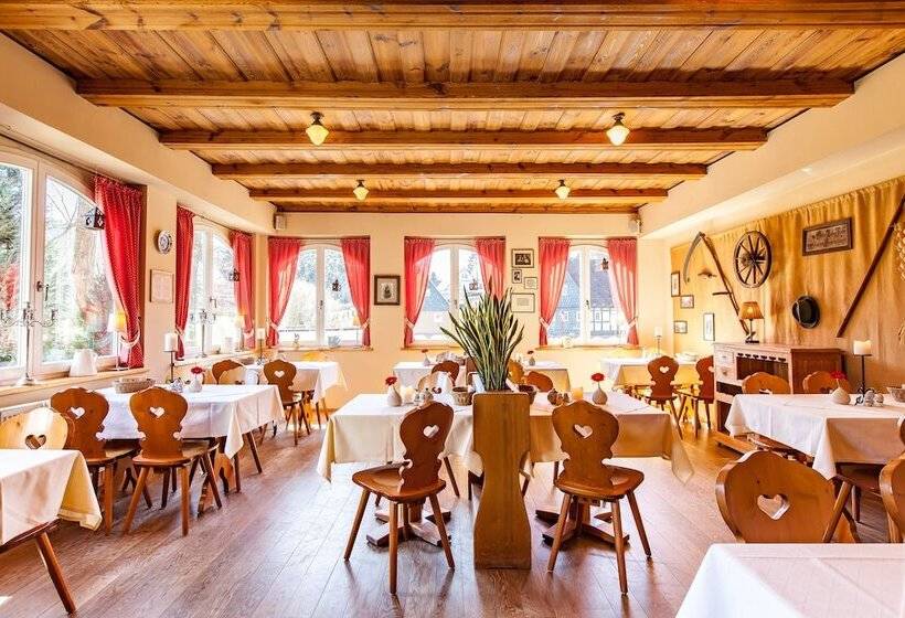 Отель Dammschenke Gasthof &