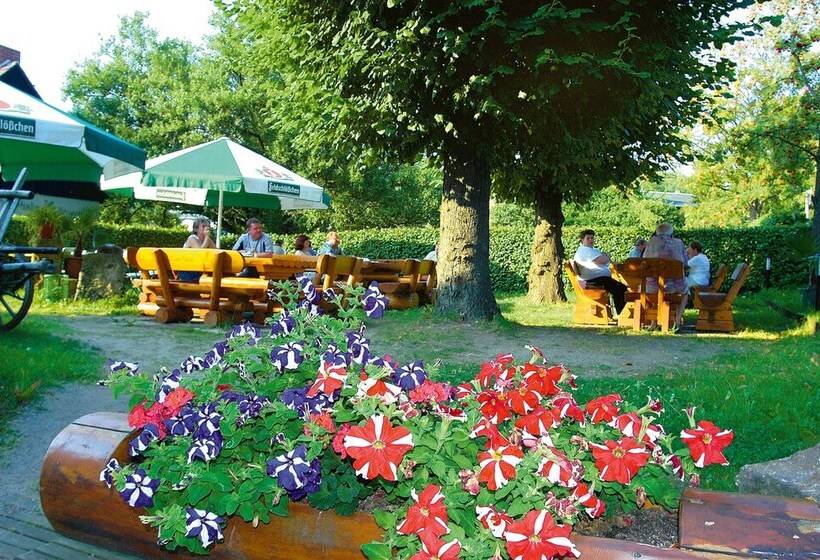 Отель Dammschenke Gasthof &