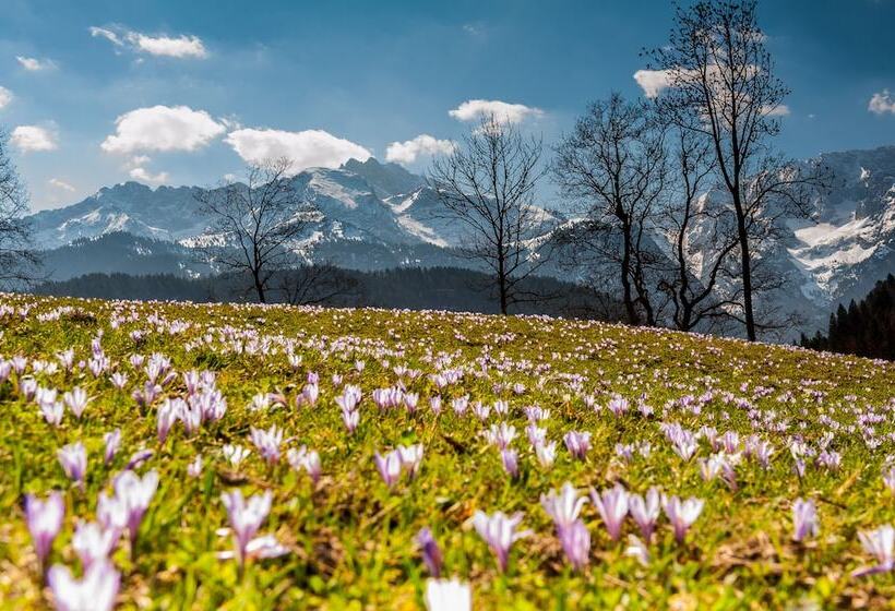 هتل Das Graseck   Mountain Hideaway & Health Care