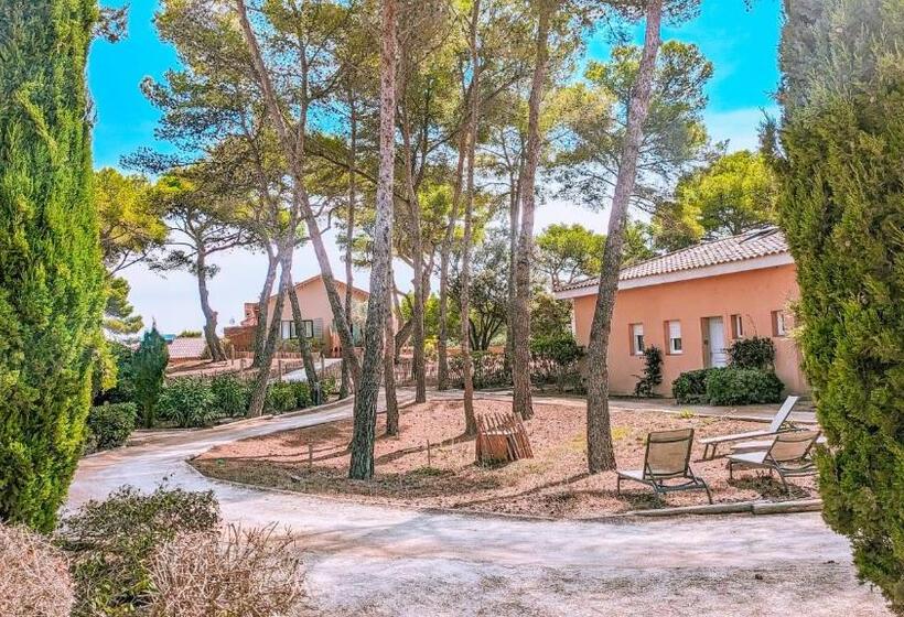 酒店 Le Domaine De La Mer   Appartements De Plage Dans Un Cadre Enchanteur