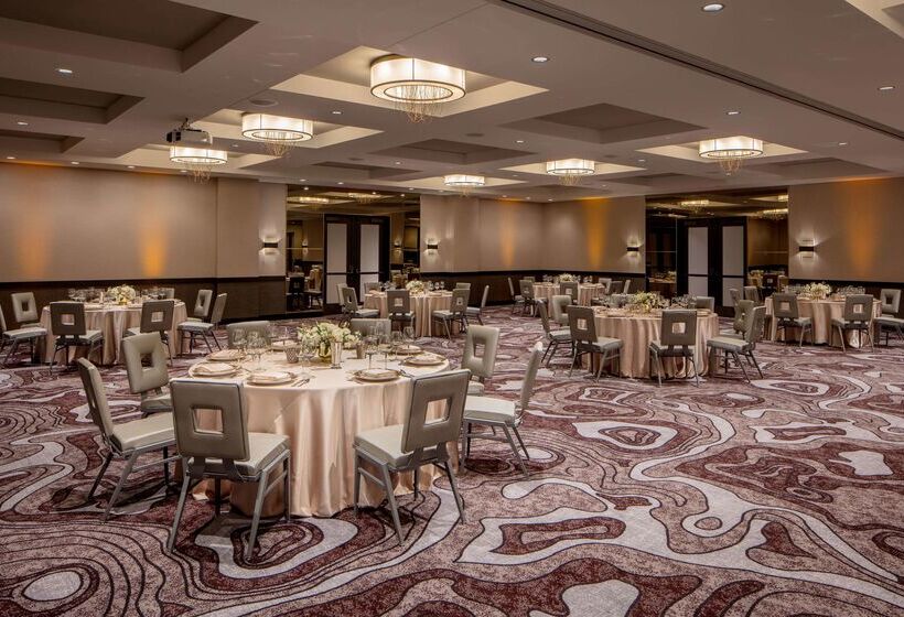 酒店 Embassy Suites By Hilton Minneapolis Downtown