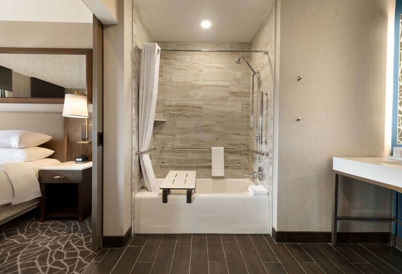 酒店 Embassy Suites By Hilton Minneapolis Downtown