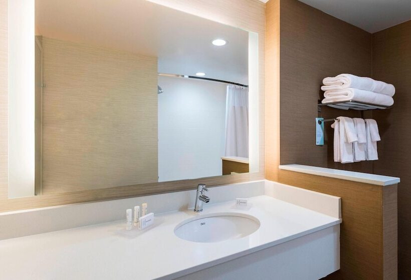 ホテル Fairfield Inn & Suites By Marriott Dallas Waxahachie