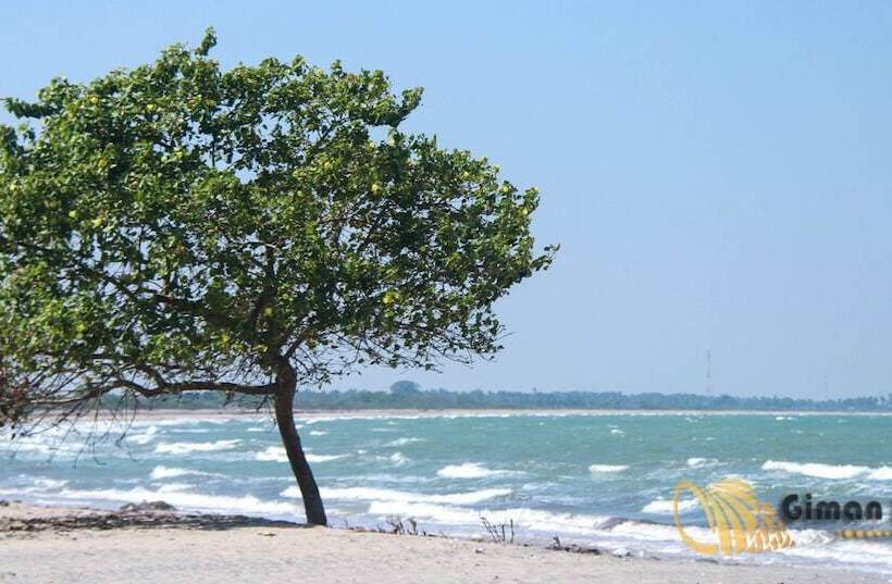 호텔 Giman Free Beach Resort