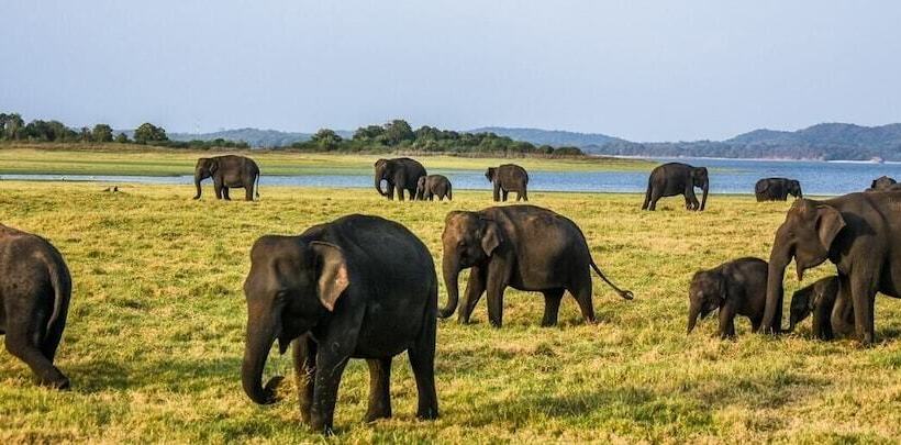 Отель Grand Kalundawa Dambulla S Hidden Secret