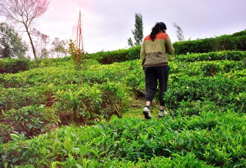 ホテル Green Nest Resort Ooty