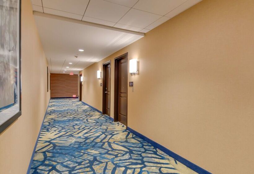 בית מלון כפרי Hampton Inn & Suites Los Angeles   Glendale