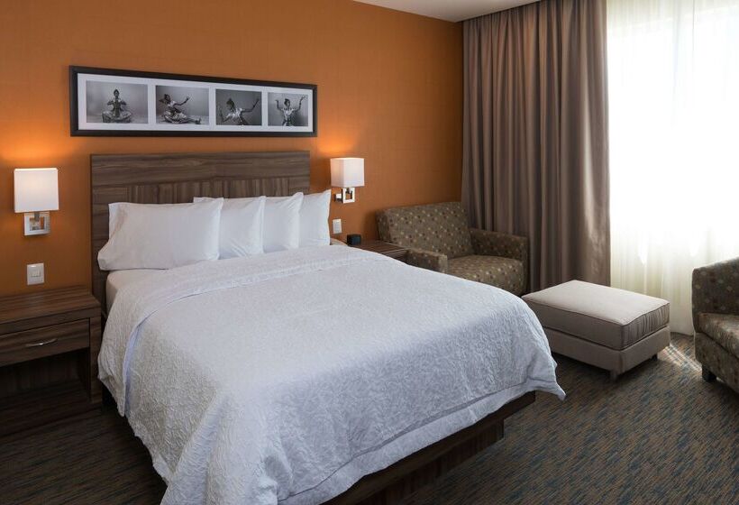 ホテル Hampton Inn By Hilton Irapuato