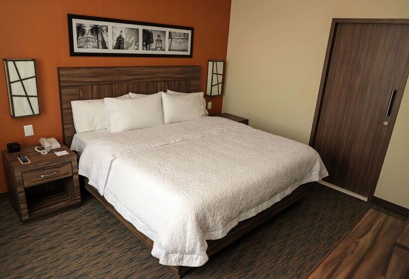 ホテル Hampton Inn By Hilton Irapuato
