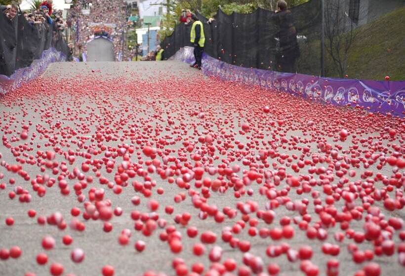 酒店 Highland House Boutique