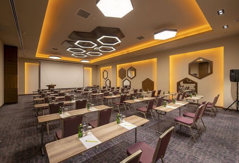 酒店 Holiday Inn Kayseri   Duvenonu, An Ihg