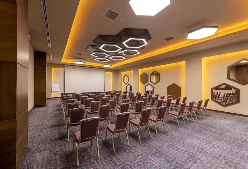 酒店 Holiday Inn Kayseri   Duvenonu, An Ihg