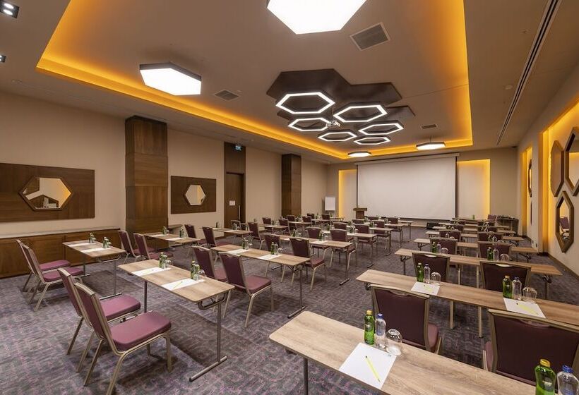 酒店 Holiday Inn Kayseri   Duvenonu, An Ihg