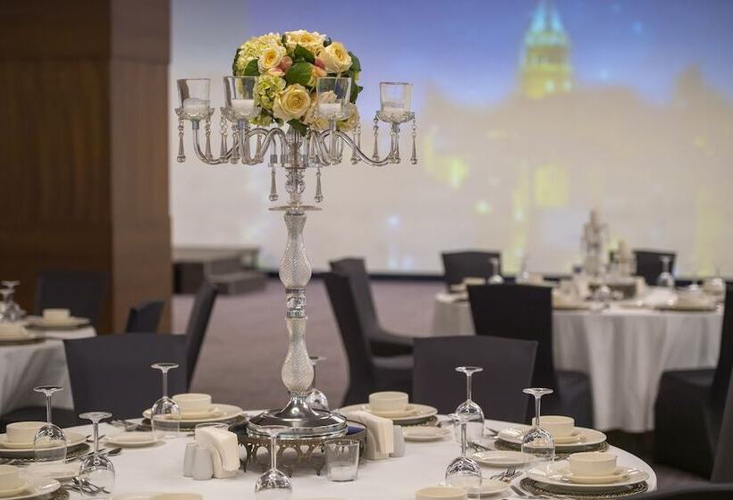 酒店 Holiday Inn Kayseri   Duvenonu, An Ihg