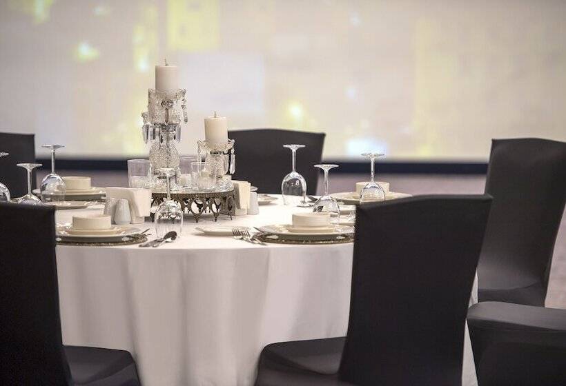 酒店 Holiday Inn Kayseri   Duvenonu, An Ihg