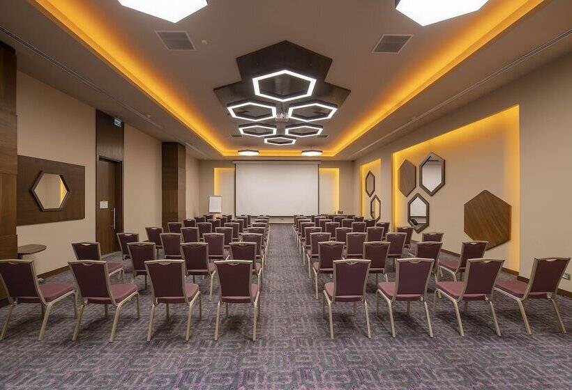 酒店 Holiday Inn Kayseri   Duvenonu, An Ihg