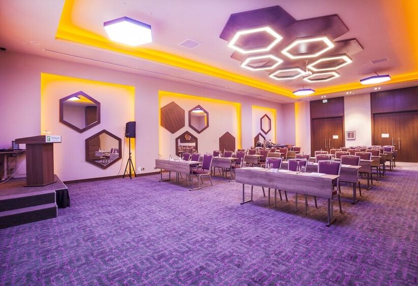 酒店 Holiday Inn Kayseri   Duvenonu, An Ihg