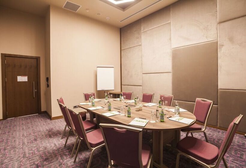 酒店 Holiday Inn Kayseri   Duvenonu, An Ihg