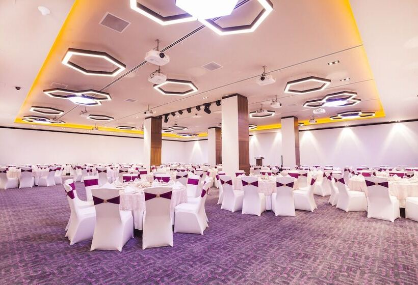 酒店 Holiday Inn Kayseri   Duvenonu, An Ihg