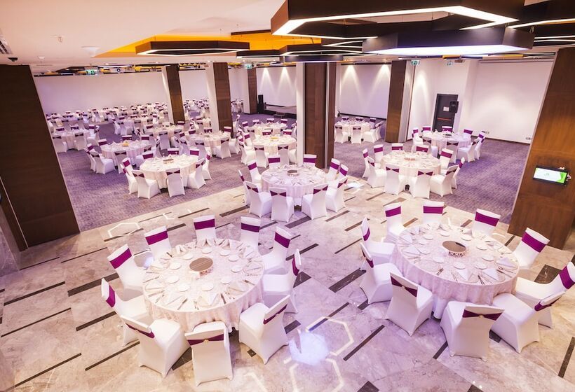 酒店 Holiday Inn Kayseri   Duvenonu, An Ihg