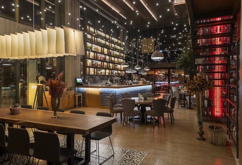 酒店 Holiday Inn Kayseri   Duvenonu, An Ihg