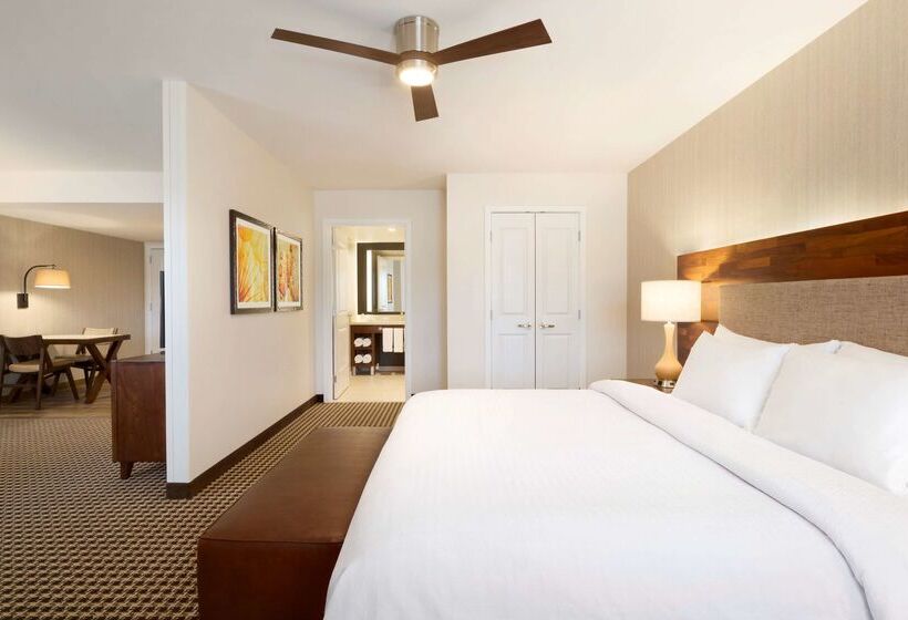 ホテル Homewood Suites By Hilton Augusta