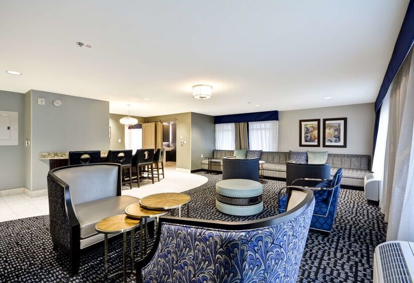 酒店 Homewood Suites By Hilton Birmingham Downtown Near Uab