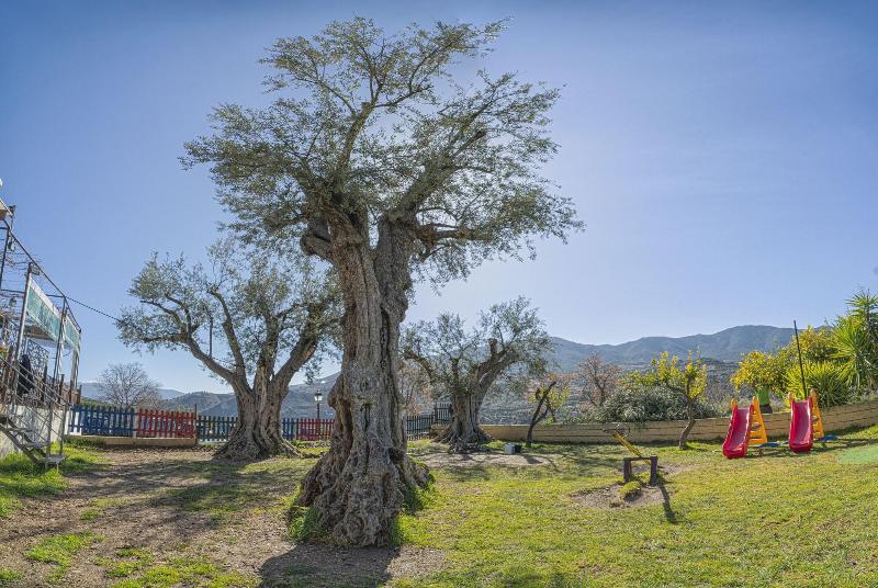 فندق Hostal Y Apartamento Rural Los Naranjos