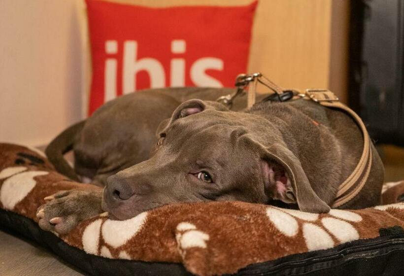 ホテル Ibis Cartagena Marbella