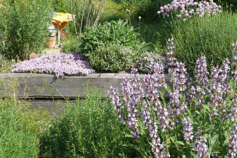 ホテル Landgrafenmuhle