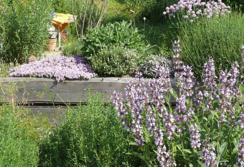 ホテル Landgrafenmuhle