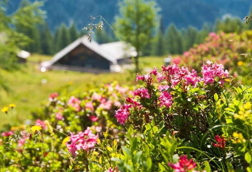 هتل Landhaus Steiner