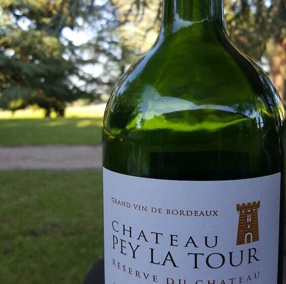 ホテル Les Secrets Château Pey La Tour   Logis Hôtels & Restaurant