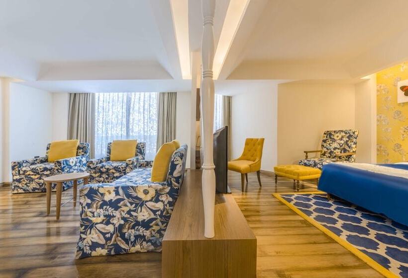 Mosaic Hotel Mussoorie Mallroad