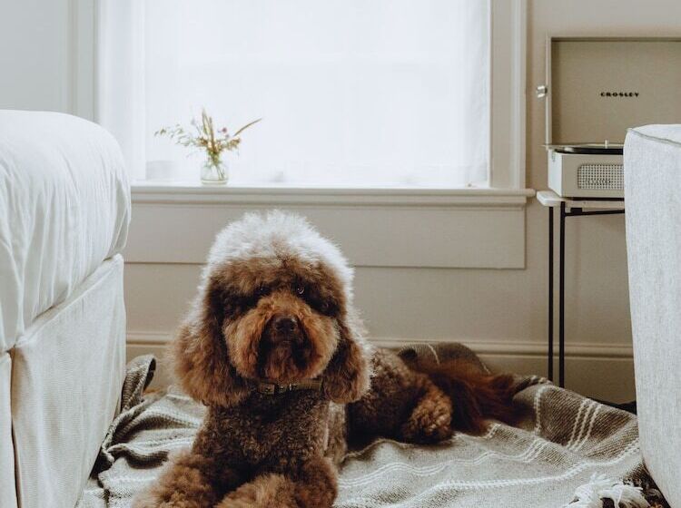 فندق No 15 By Guesthouse, Bath