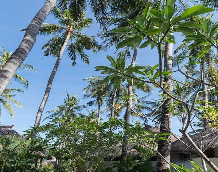 فندق Palm Garden Amed Beach & Spa Resort Bali